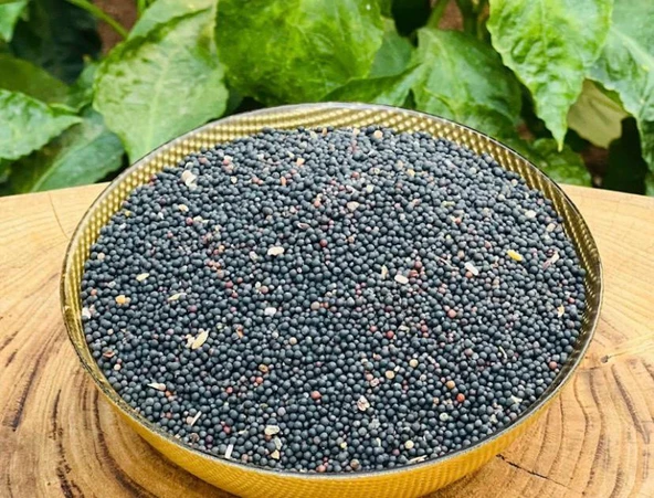 Siyah Hardal Tohumu 300 Gr ürün görseli 1