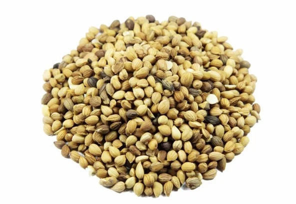 Mahlep Tane 100 Gr ürün görseli 1