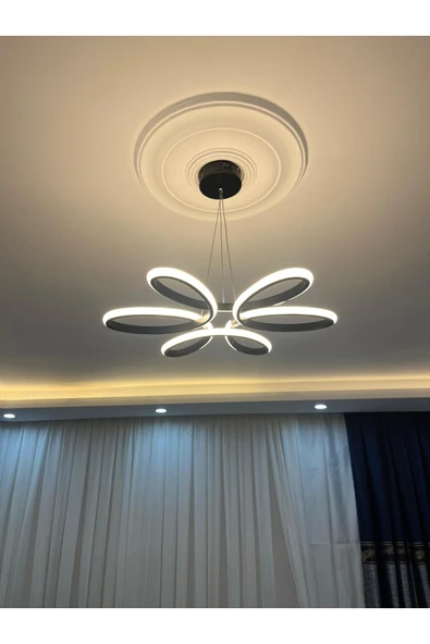 Sunbox papatya ğünışığı ledli sarkıt avize siyah kasa ürün görseli 1
