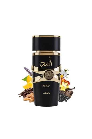 Lattafa Asad EDP 100 ml Erkek Parfüm - Resim 3