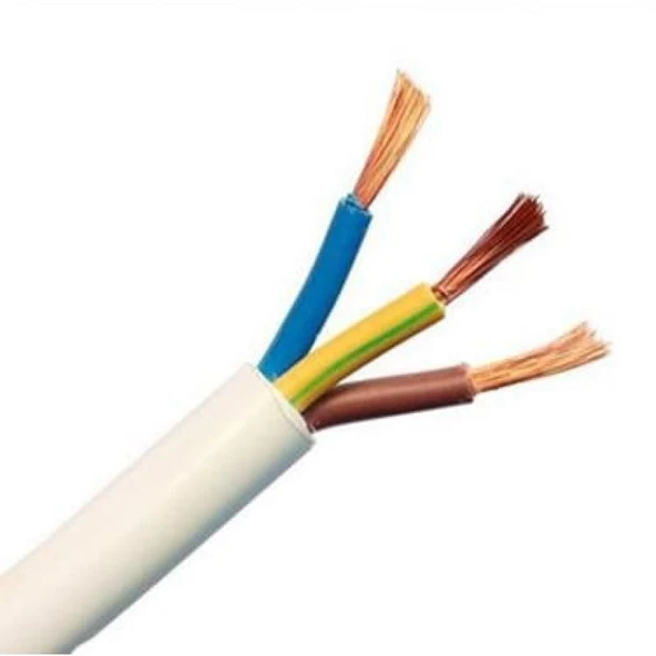 TTR Bakır Kablo 3x2,5 mm (5 Metre) - Resim 2
