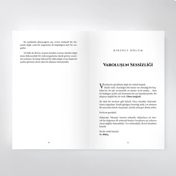 Eva'nın Doğuşu - Serhat Bayar - Resim 4