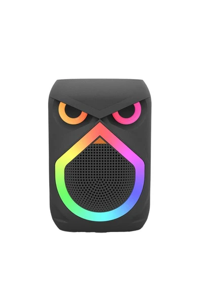 D80 Kablosuz Taşınabilir Hoparlör 12W Rgb Işıklı Kablosuz Mikrofonlu USB, FM radyo ürün görseli 1