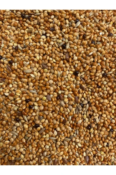 Lüks Taze Karışık Muhabbet Kuşu Yemi 5 kg ürün görseli 1