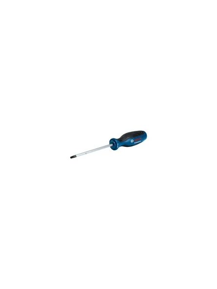 Bosch Professional Torx Tornavida T30 x 100 mm - 1600A01V0E ürün görseli 1