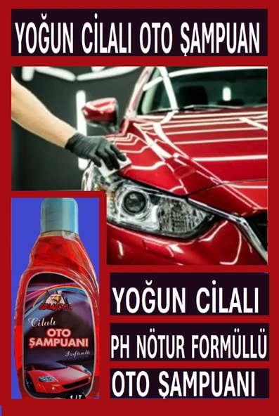 Cilalı Oto Şampuanı 1 Kg + Araba Yıkama Süngeri ürün görseli 1