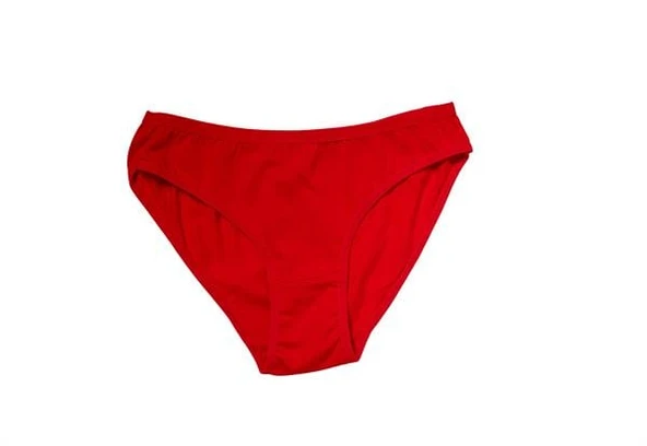 Arias Closet Kırmızı Yılbaşı Desenli Hoo Hoo Hoo Pamuklu Külot - Resim 2