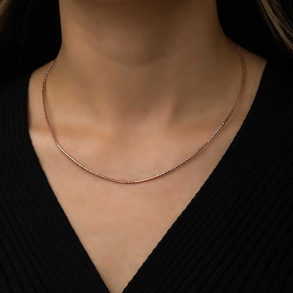 Gümüş Omega Choker Zincir - Resim 2