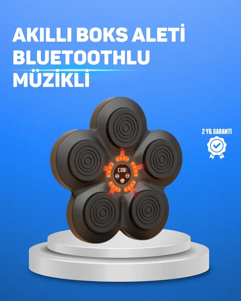 Müzikli Boks Duvar Paneli Akıllı Işık Sistemli Refleks Ve Kondisyon Aleti ürün görseli 1