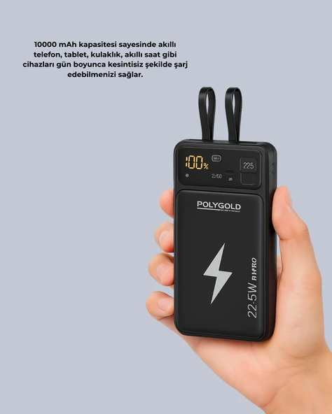 Pgpw10 Powerbank - Resim 3
