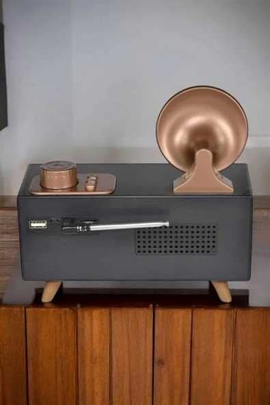 Nostaljik Görünümlü Bluetooth Bağlantılı Speaker - Resim 5