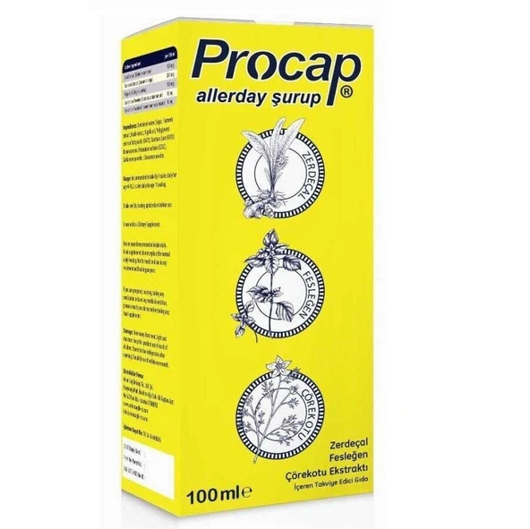 Procap Allerday Şurup 100ml ürün görseli 1