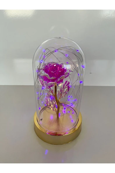 rkmstore Özel Günler İçin Hediyelik Dekoratif Solmayan Sonsuzluk Pembe Güllü Işıklı Ledli Işıklı Gold Fanus ürün görseli 1