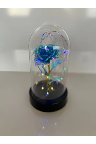 rkmstore Sevgililer Ve Anneler Gününe Özel Hediyelik Dekoratif Solmayan Mavi Sonsuzluk Gül Rgb Ledli Fanus ürün görseli 1