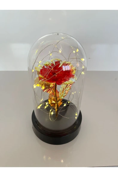 rkmstore Özel Günler İçin Hediyelik Dekoratif Solmayan Sonsuzluk Kırmızı Güllü Ledli Işıklı Siyah Fanus ürün görseli 1