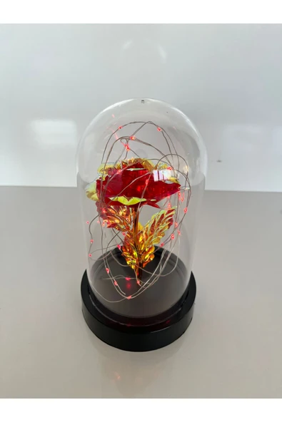 rkmstore Özel Günler İçin Hediyelik Dekoratif Solmayan Sonsuzluk Kırmızı Güllü Ledli Işıklı Siyah Fanus ürün görseli 1