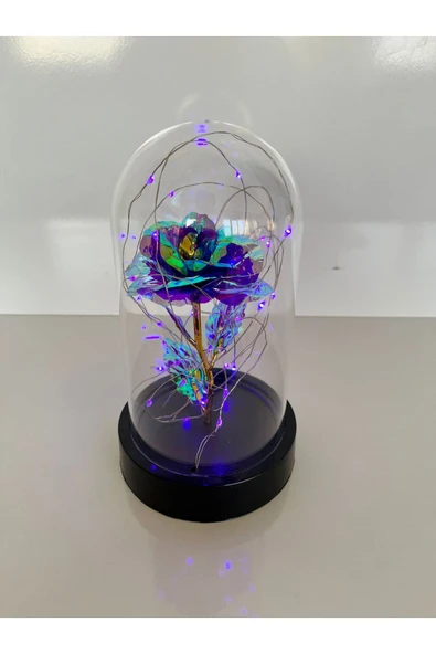 rkmstore Özel Günler İçin Hediyelik Dekoratif Mor Renkli Solmayan Sonsuzluk Güllü Ledli Işıklı Siyah Fanus ürün görseli 1