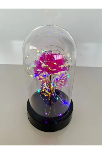 rkmstore Özel Günler İçin Hediyelik Dekoratif Solmayan Sonsuzluk Pembe Güllü Renkli Ledli Işıklı Siyah Fanus ürün görseli 1