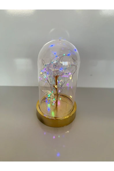 rkmstore Özel Günler İçin Hediyelik Dekoratif Şeffaf Renkli Solmayan Sonsuzluk Güllü Ledli Işıklı Gold Fanus ürün görseli 1