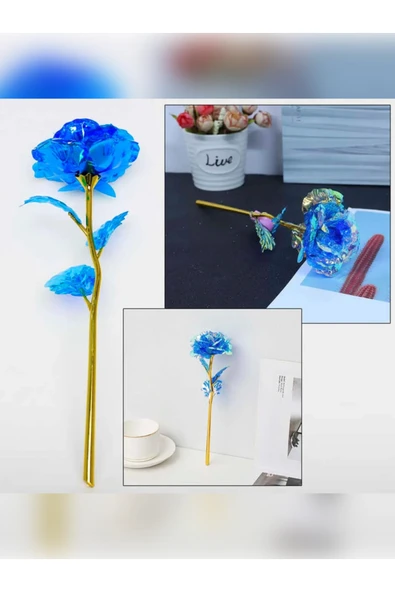 rkmstore Mavi Sonsuzluk Gülü Hediyelik Gül Dekor Sevgiliye Hediye Anneler Günü Hediyesi Solmayan Gül ürün görseli 1