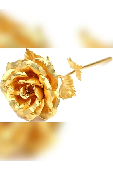 rkmstore Sonsuzluk Gülü Hediyelik Gül Gold Renk Ev Dekor  Sevgiliye Hediye Anneler Günü Hediyesi Solmayan Gül ürün görseli 1