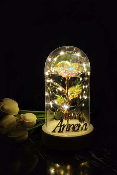 Anneler Günü Led Işıklı Sonsuzluk Gül Fanus Gece Lambası Canım Annem Yazılı Dekor Süs ürün görseli 1