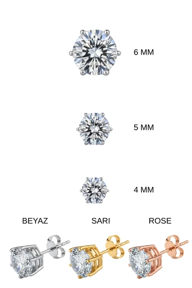 6 Tırnak Tektaş Küpe - Resim 4
