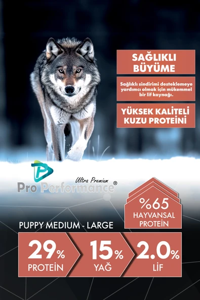 Pro Performance Somon ve Yaban Mersinli Orta ve Büyük Irk Yavru Köpek Maması 12 Kg ürün görseli 1