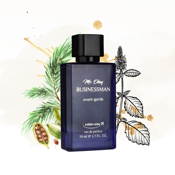 Mr. Okay Businessman Avant Garde 50 ML ürün görseli 1