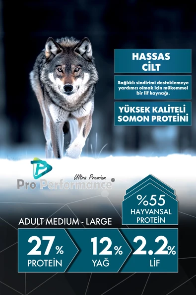 Pro Performance Somon ve Yaban Mersinli Orta ve Büyük Irk Yetişkin Köpek Maması 12 Kg ürün görseli 1