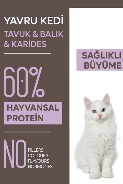 Animal World Tavuk Balık Ve Karidesli Yavru Kedi Maması 15 Kg ürün görseli 1