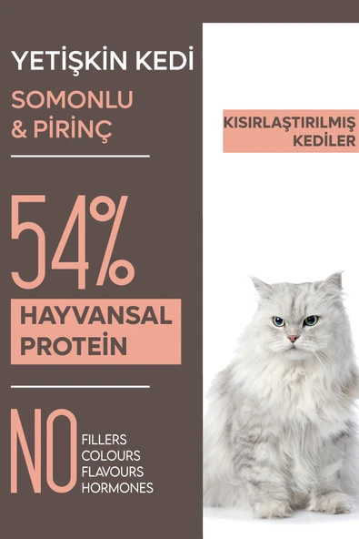 Animal World Somon Etli Kısırlaştırılmış Kedi Maması 15 Kg ürün görseli 1