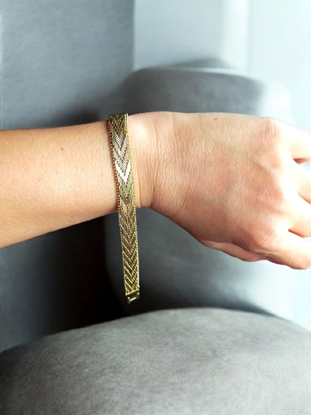 14K Gold Renkli Vip Seri Balık Sırtı Bileklik ürün görseli 1