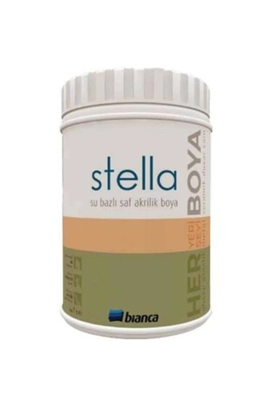 Bianca Stellla Boya 1Lt - Resim 2