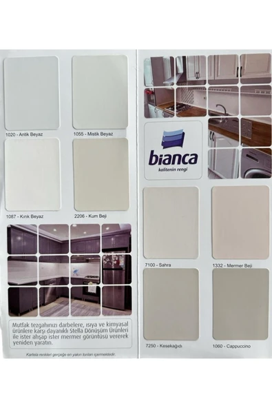 Bianca Stella Boya Beyaz 0,50 Lt - Resim 5