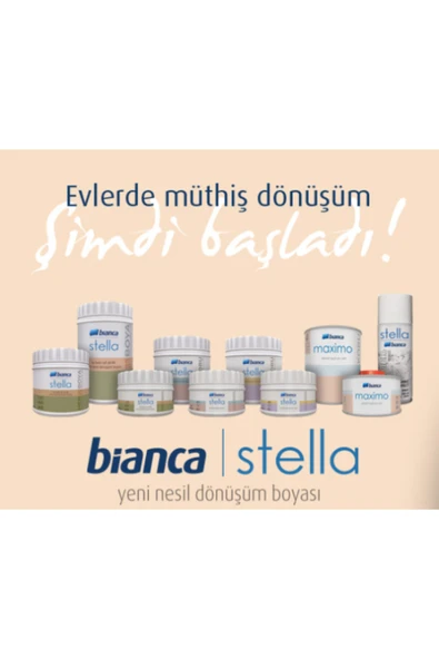 Bianca Stella Dönüşüm Boyası 0.5 Lt - Resim 3