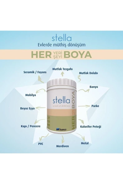 Bianca Stellla Boya 1Lt - Resim 2