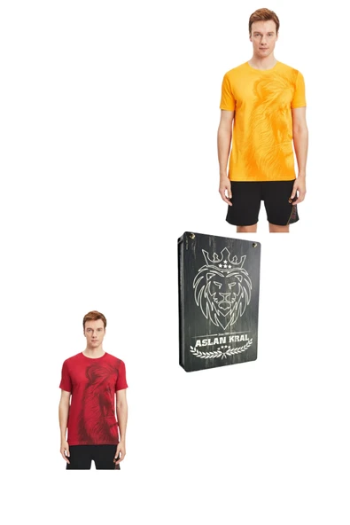 Galatasaray Orijinal Lisanslı Aslan Baskılı Sarı T-Shirt Bayrak ve Lazer Kutu Hediyeli ürün görseli 1