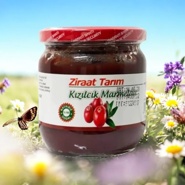 ŞEKER İLAVESİZ KIZILCIK MARMELATI 450 GR ürün görseli 1