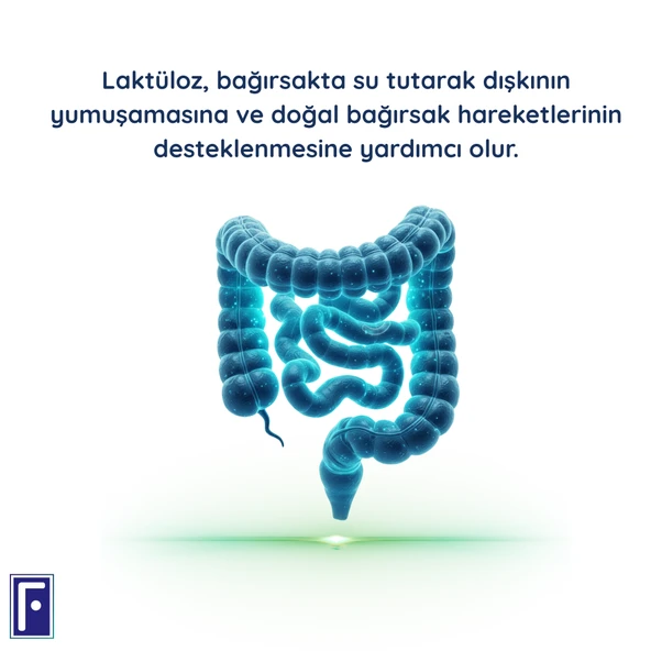 Flor Probiyotik Kapsül , Prebiyotik , Laktuloz - Resim 2