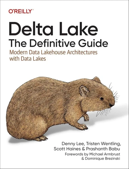 Delta Lake: The Definitive Guide: Modern Data Lakehouse Architectures with Data Lakes - Lee, Wentling, Haines ürün görseli 1
