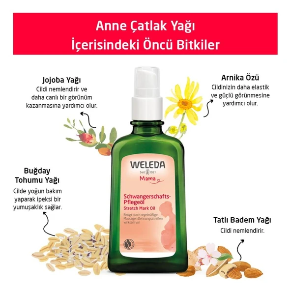 Weleda Anne Çatlak Yağı 100ml - Resim 3
