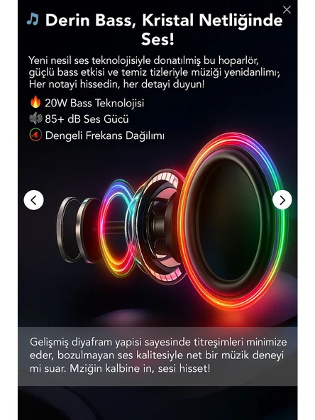 ROSE SP-503 Taşınabilir Bluetooth Hoparlör - Resim 3