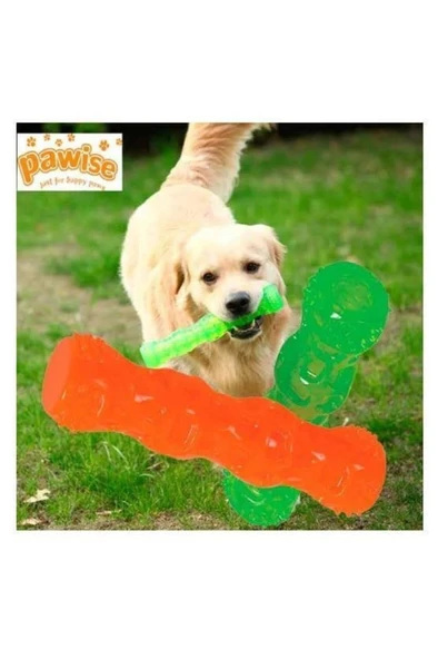 Pawise Plastik Köpek Diş Kemiği 28cm ürün görseli 1