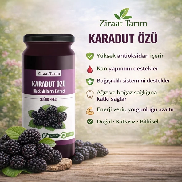 SOĞUK PRES KARADUT ÖZÜ (620 GR) ürün görseli 1