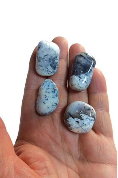 50 Gram Merlinit Dendritli Opal Tamburlu Parçalar 239-2 ürün görseli 1