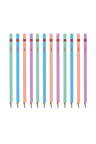 Rotring Metalik 12 Li Kurşun Kalem (2090067) ürün görseli 1