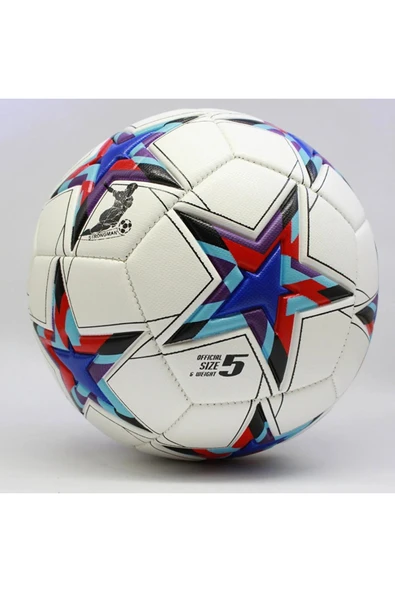 CAN SPORTS Futbol Topu Dikişi Sert Zemin ve Halı Saha Şampiyonlar ligi ürün görseli 1