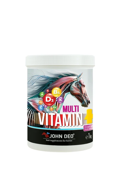 MULTİVİTAMİN 1 KG ürün görseli 1