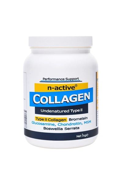 COLLAGEN TYPE 2, 1 KG ürün görseli 1